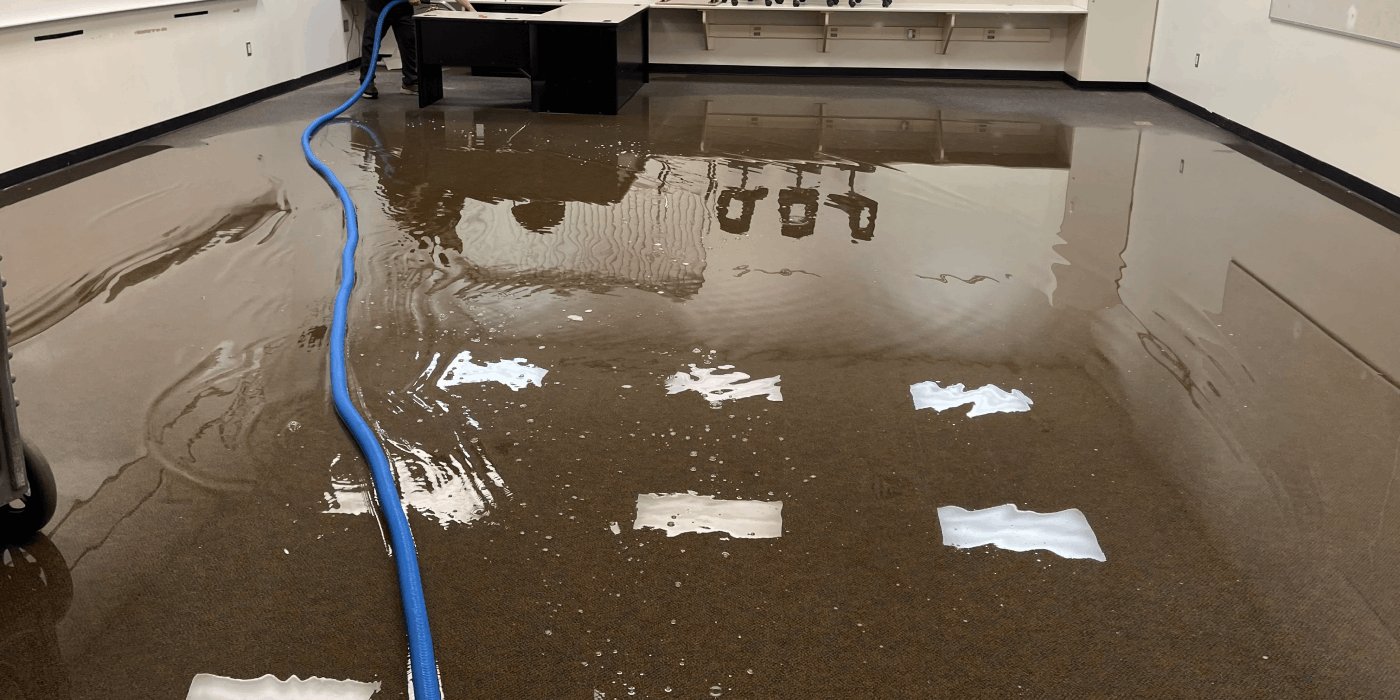 lyon restoration cleaning