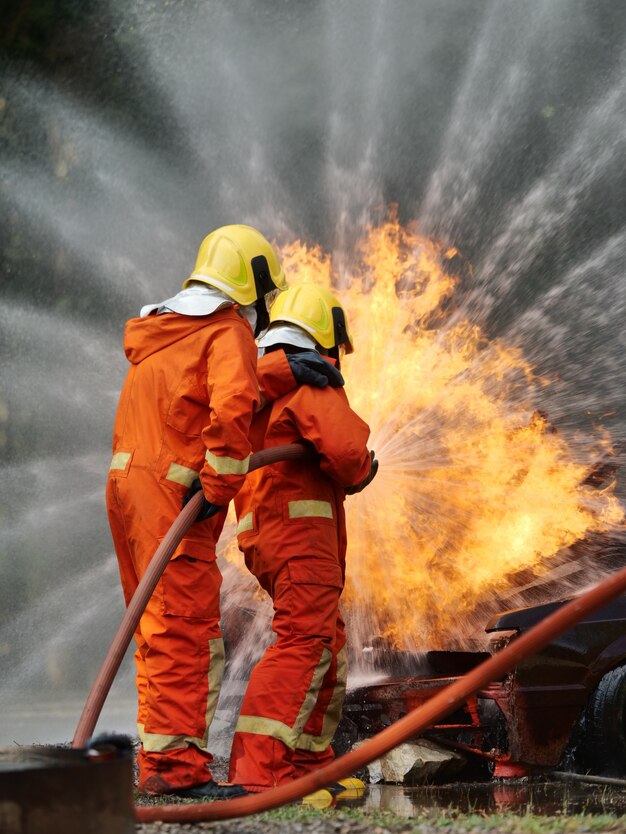 lyon restoration construction